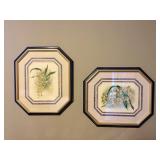 Ethan Allen Botanical Prints