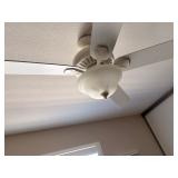 Fan (1 of 3)