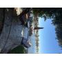 Stunning Lakeside Estate Sale