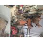 ESTATE SALE HEAVY ON TOOLS AND EQUIPMENT. SOMETHING FOR EVERYONE THOUGH