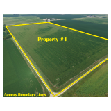 October 26, 2026 at 10:30 A.M. --Live Public Land Auction Of 4 Tracts Of FarmLand 