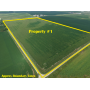 October 26, 2026 at 10:30 A.M. --Live Public Land Auction Of 4 Tracts Of FarmLand 