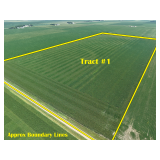 October 28, 2026 at 10:30 A.M.--Live Public Land Auction Of 2 Tracts Of Land 