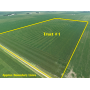 October 28, 2026 at 10:30 A.M.--Live Public Land Auction Of 2 Tracts Of Land 