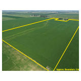 November 2, 2026 at 10:30 A.M.--Live Public Land Auction Of 75.48+/- Acres Of Farmland