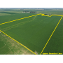 November 2, 2026 at 10:30 A.M.--Live Public Land Auction Of 75.48+/- Acres Of Farmland