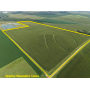 November 4, 2026 at 10:30 A.M.---Live Public Auction Of 61.71+/- Acres Of Farmland
