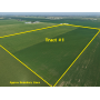 November 10, 2026 at 10:30 A.M.--Live Public Land Auction 