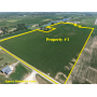 November 5, 2026 at 10:30 A.M.--Live Public Land Auction 