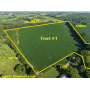 November 16, 2026 at 10:30 A.M. --Live Public Auction Of 2 Tracts Of Farmland & An Acreage Site