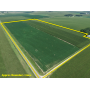 November 19, 2026 at 10:30 A.M.--Live Public Auction Of 60+/- Acres