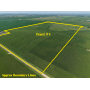 November 17, 2026 at 10:30 A.M.--Live Public Auction Of 2 Contiguous Tracts Of Farmland