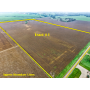 November 21, 2026 at 10:30 A.M. --Live Public Auction Of 143+/- Acres