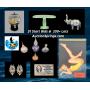 ESTATE COLLECTIBLES & TREASURES ONLINE AUCTION