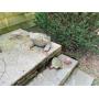 Massive Moving Sale - New Canaan