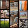 RANCH ESTATE SALE OF A LIFETIME !!!