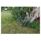 1064-Back Yard