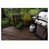 1085-Back Yard
