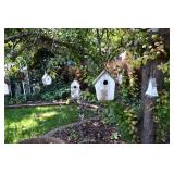 819-Back Yard