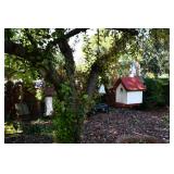 821-Back Yard