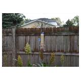 1316-Back Yard