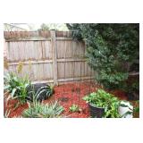 1317-Back Yard