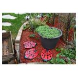 1318-Back Yard