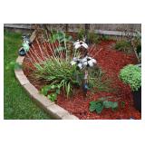 1320-Back Yard