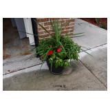 1342-Front Yard