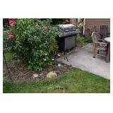 1595-Back Yard