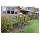 1604-Back Yard
