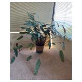 Ctenanthe Prayer Plant in Seagrass Basket