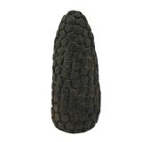 Roman Pumice Cone 1st Millennium BC Artifact