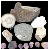 Assorted Fossilized Coral, Lace Agate, Howlite Specimen & More