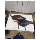 Turkey Decoy