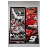 NASCAR No. 3 & No. 9 Racing Posters