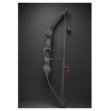 PSE Laser-Flite Express Bow And Arrows