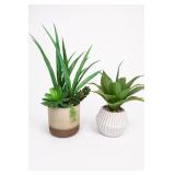 Artificial Succulent With Grass In Ceramic