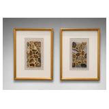 Kate DeOssie Unearthed Framed Art Pair