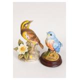 Andrea by Sadek Blue Bird 6350 & Meadowlark 9386