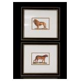 Pair Framed Lion & Leopard Animal Prints
