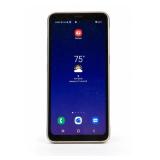Samsung Galaxy S8 Active SM-G892A Smartphone