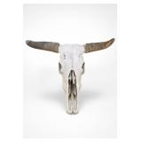 Buffalo Skull With Horn