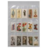 Seashell & Coral Display Collection