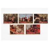 1956 Walt Disney Davy Crockett Card Lot, 5 Cards