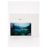 2007 U.S. #C142 69¢ Okefenokee Air Mail Stamp