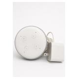 Google Smart Speaker With Power Adapter