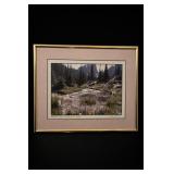 Steve Tahari Signed Hallett Pk. Framed Print