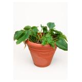 Flamingo Hanging Plant Holder