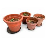 Terracotta Plant Pot With Decorative Band